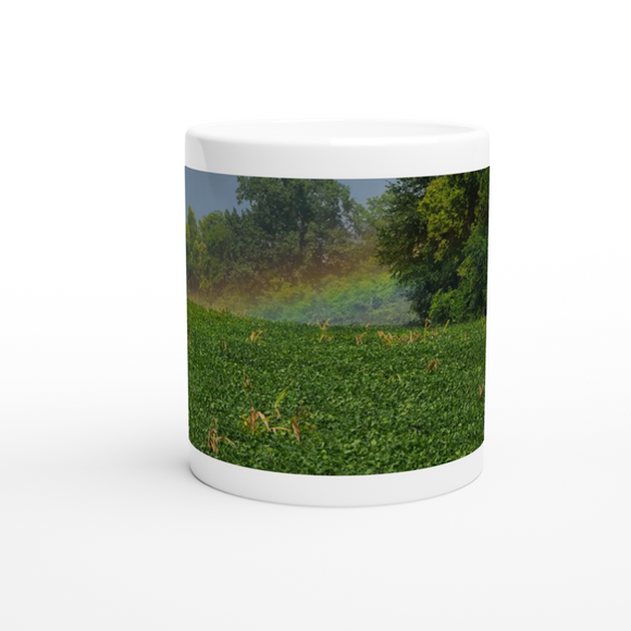 Rainbow Fields Forever 11oz Ceramic Mug